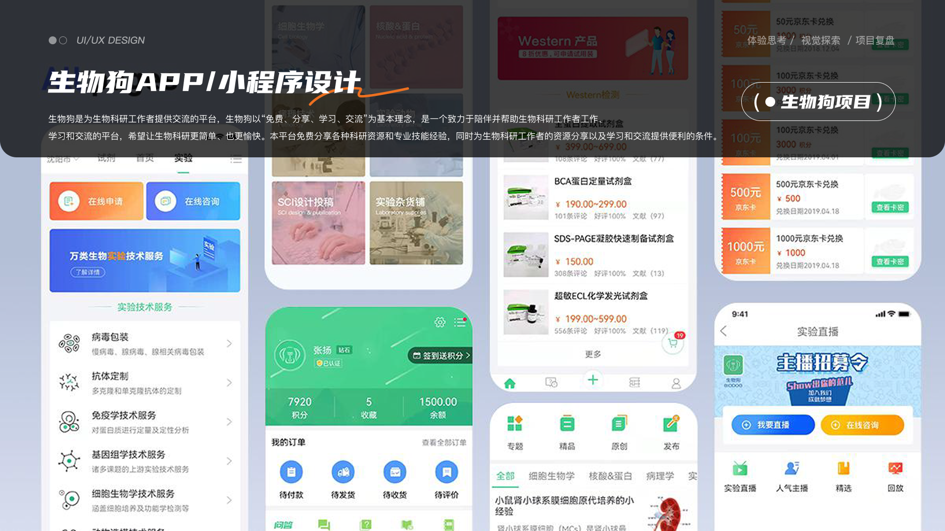项目总结与其他设计展示 05