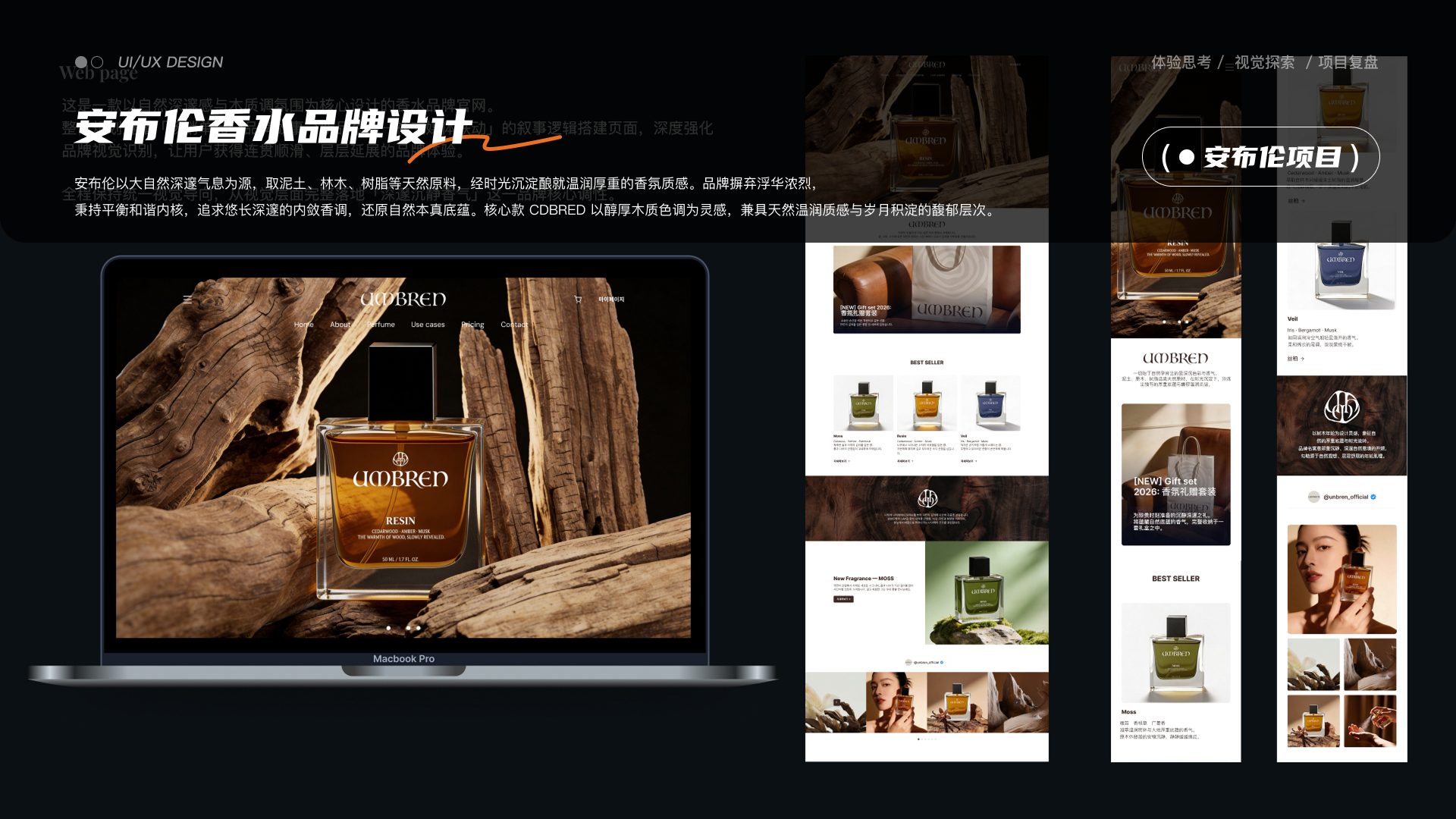 项目总结与其他设计展示 05