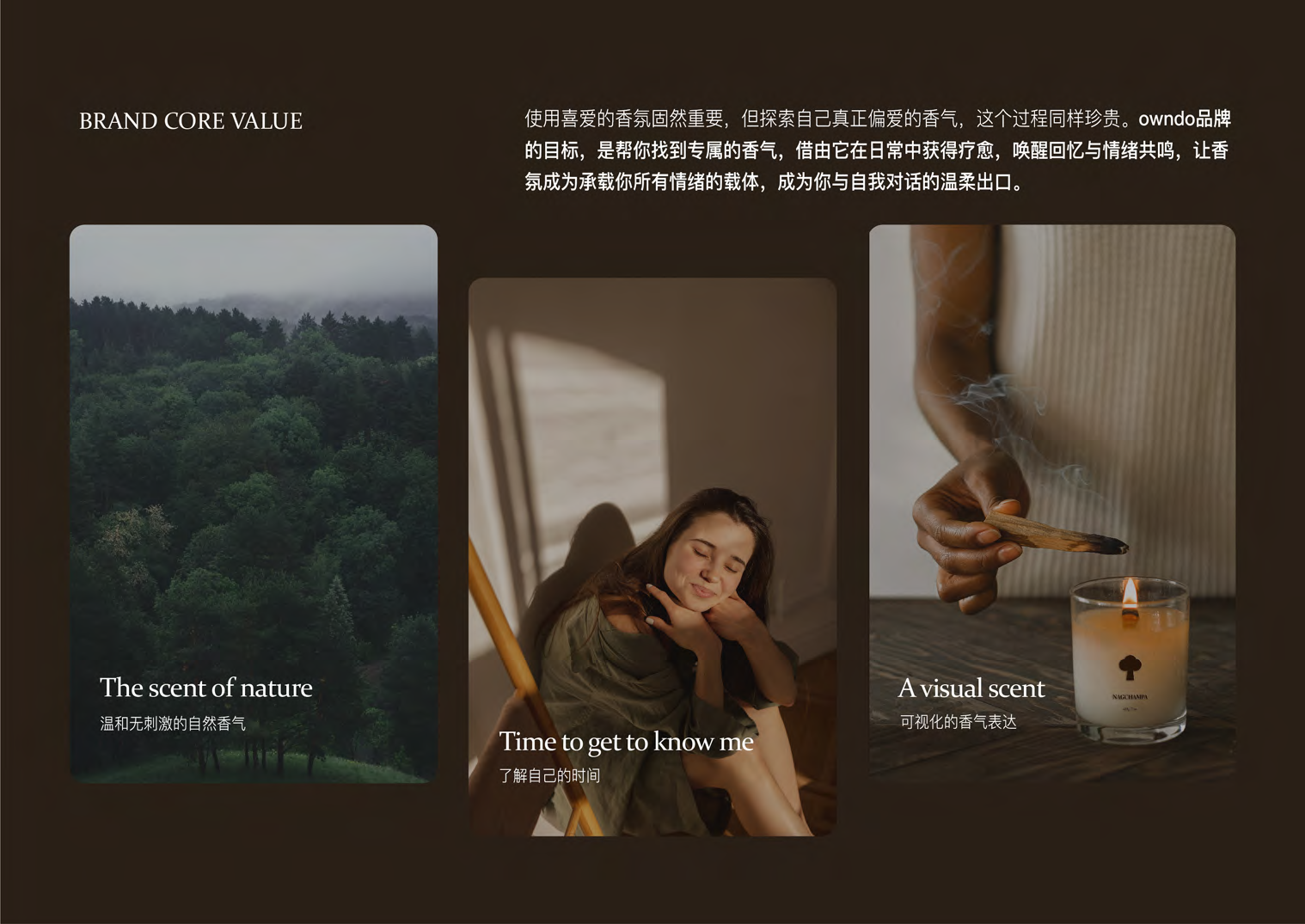 中国石油风险预警系统视觉展示 04